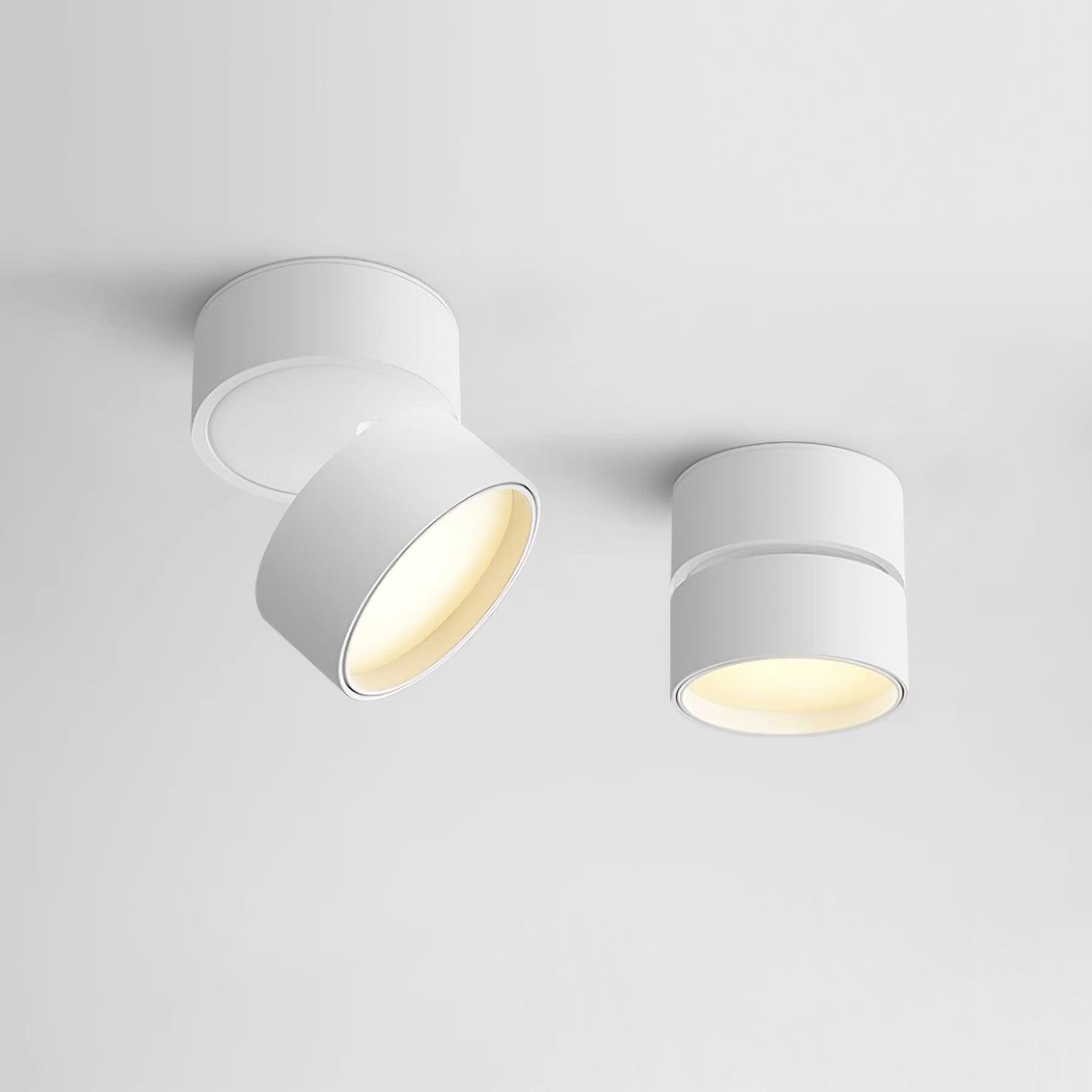 Moderne Verstelbare Plafondlamp met Warm Wit Licht - Aluminium LED Plafonniere voor Flexibele Verlichting