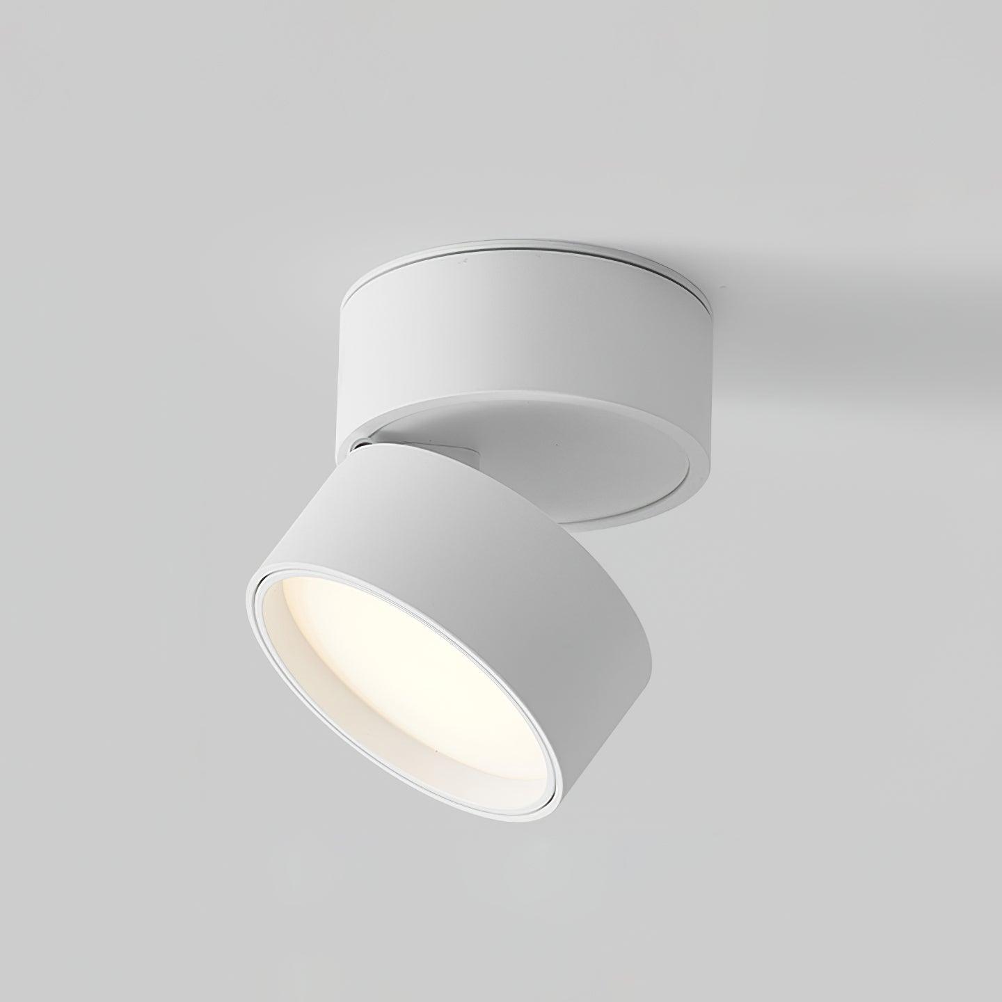 Moderne Verstelbare Plafondlamp met Warm Wit Licht - Aluminium LED Plafonniere voor Flexibele Verlichting