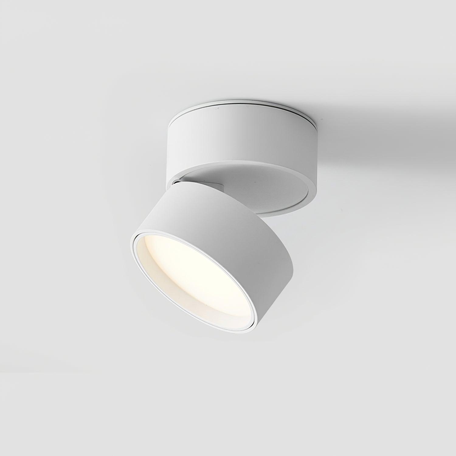 Moderne Verstelbare Plafondlamp met Warm Wit Licht - Aluminium LED Plafonniere voor Flexibele Verlichting